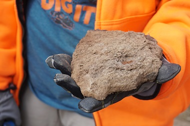 fossilized fish poop